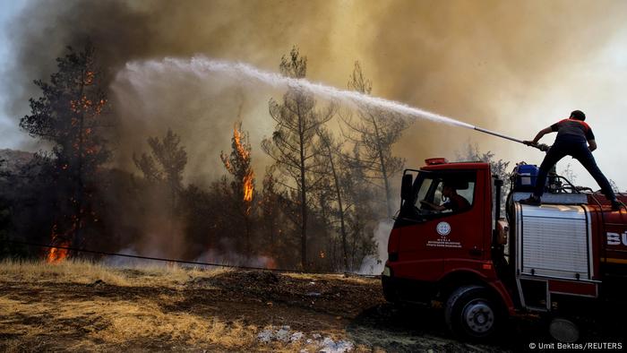 Ministro Pakdemirli: Continúan siete incendios en tres provincias |  Turquía |  DW