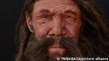 Los neandertales tenían los mismos tipos de sangre que nosotros, según estudio