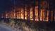 Nordmazedonien Dorf Kocan Waldbrand Feuer Nordmazedonien Dorf Kocan Waldbrand Feuer