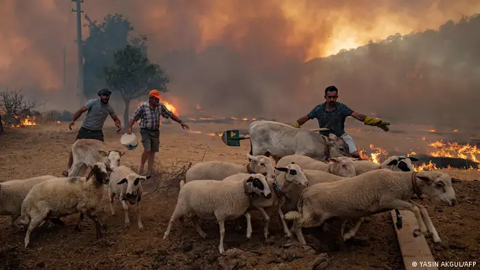 Türkei verheerende Waldbrände