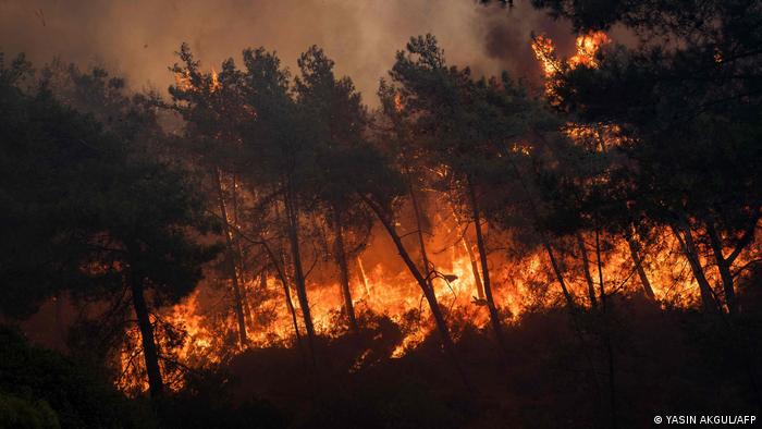 Türkiye'nin güney bölgelerinde etkili olan orman yangınları can kaybının yanı sıra büyük maddi hasara yol açtı
