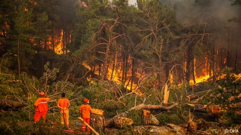 Antalya'nın Manavgat ilçesinde 2021 yazında çıkan orman yangınına müdahale eden itfaiye erleri - (04.08.2021)