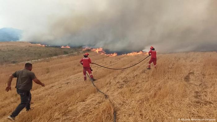 Albanien | Waldbrände 