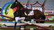 Tokio | Olympia Reitsport Tokio | Olympia Reitsport