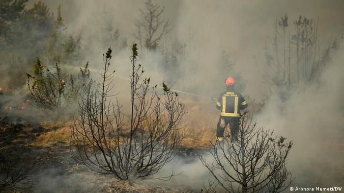 Waldbrände in Nordmazedonien