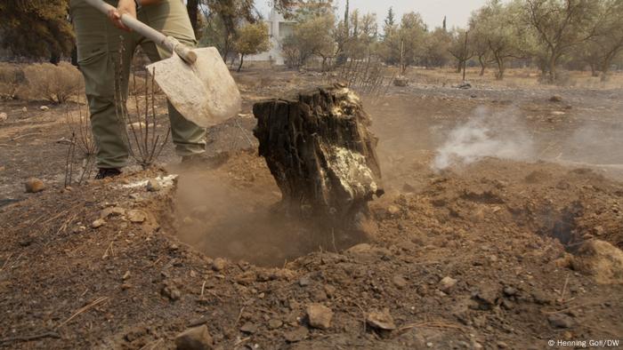 Área quemada en el Parque Nacional Parnés: Los árboles tardarán al menos 20 años en volver a crecer.