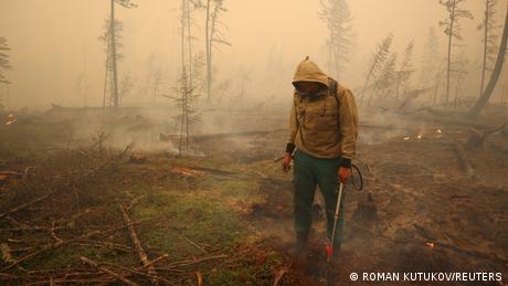 Waldbrände weltweit Russland 