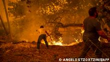 TOPSHOT - Local residents fight the wildfire in the village of Gouves on Evia (Euboea) island, second largest Greek island, on August 8, 2021. - Hundreds of Greek firefighters fought desperately on August 8 to control wildfires on the island of Evia that have charred vast areas of pine forest, destroyed homes and forced tourists and locals to flee. (Photo by ANGELOS TZORTZINIS / AFP)