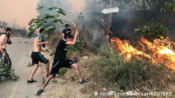 Des jeunes tentent en vain d'éteindre l'incendie à Tizi Ouzou.