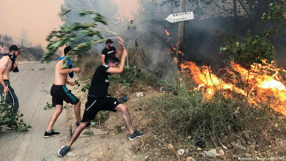 Más de 40 muertos en incendios que arrasan norte de Argelia | El Mundo | DW - Vimarsana News