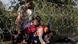 Syrian migrants cross under a fence as they enter Hungary at the border with Serbia in August 2015 Syrian migrants cross under a fence as they enter Hungary at the border with Serbia in August 2015