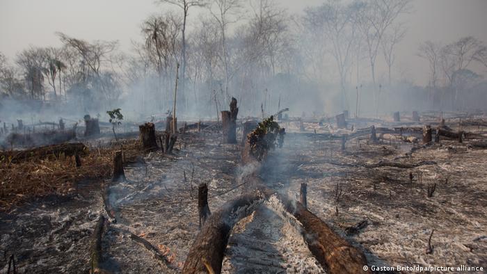 حرائق غابات في بوليفيا