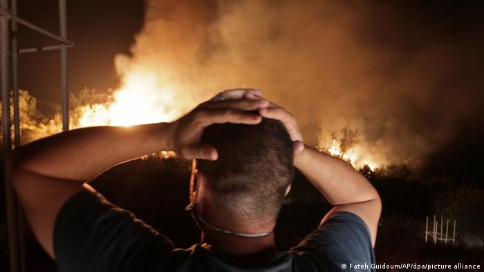 ما نوع التعاقب الذي يحدث بعد اندلاع حريق في الغابة إذا لم يتمَّ تدميرها بالكامل