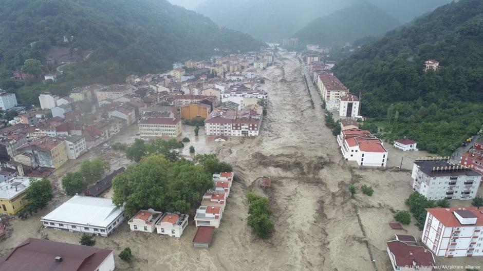 bozkurt taki felaketin 7 nedeni turkiye dw 16 08 2021