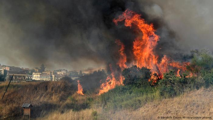 Incendio forestal cerca de Palermo, en la isla italiana de Sicilia