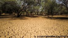 Senegal: Gärten gegen Wüstenbildung