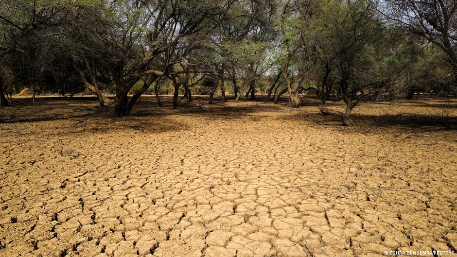 Senegal - Gärten gegen Wüstenbildung | Alle multimedialen Inhalte der Deutschen Welle | DW - Vimarsana News