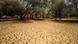 Dry earth is pictured in a field, in an area that is part of the Great Green Wall of the Sahara and the Sahel, on the outskirts of Walalde department in Senegal, July 11, 2021. Dry earth is pictured in a field, in an area that is part of the Great Green Wall of the Sahara and the Sahel, on the outskirts of Walalde department in Senegal, July 11, 2021.