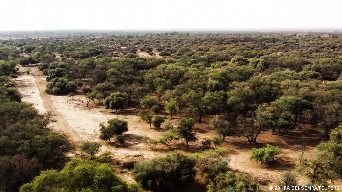 Bereits 2007 wurde das Projekt der Grünen Wand ins Leben gerufen, um der Wüstenbildung in der afrikanischen Sahelzone Einhalt zu gebieten. 