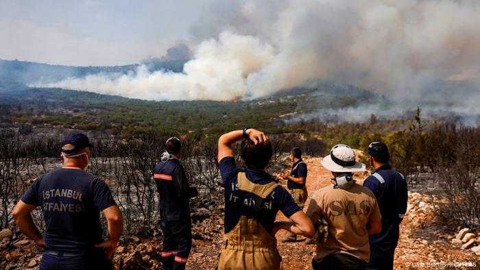 Kebakaran hutan di Mugla, Turki