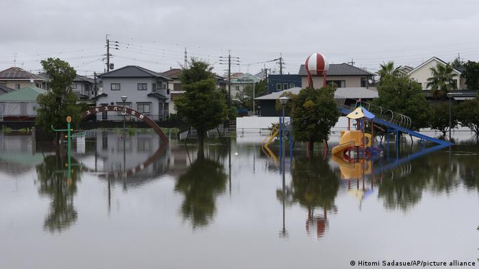 ��������� ���� ������ �� ������ ����