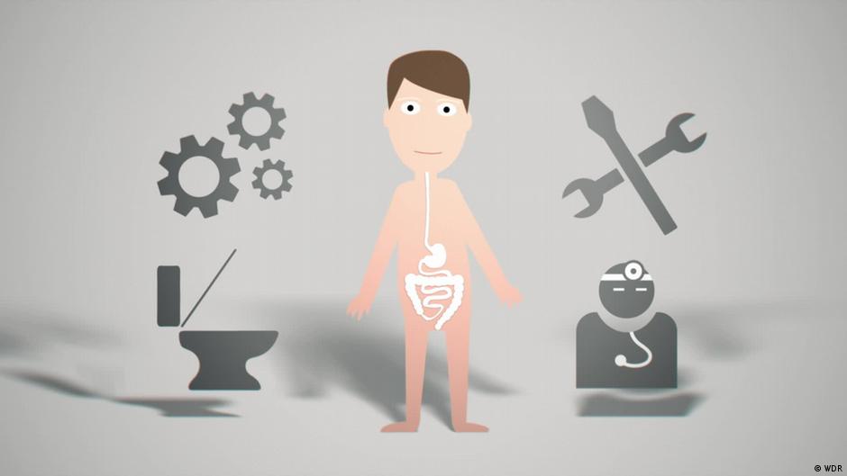 How to keep intestines in good shape – DW – 09/03/2021