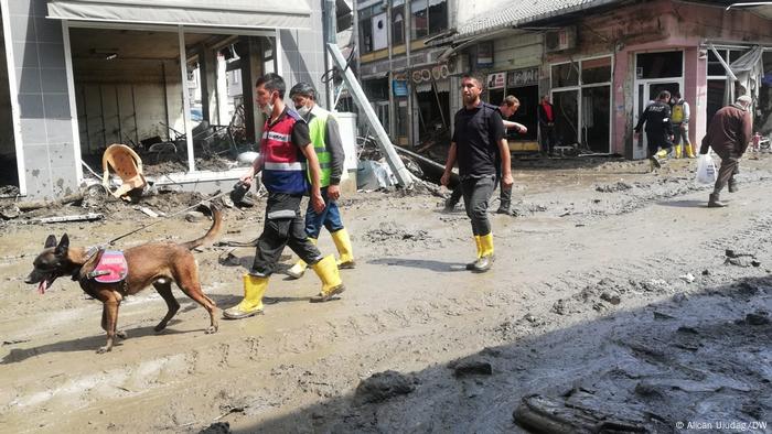 Bozkurt'ta arama ve kurtarma çalışmaları köpekler eşliğinde Cumartesi günü de sürdü