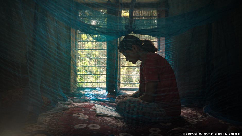 New chikungunya vaccine: Climate change may spread demand – DW – 06/14/2023 - Vimarsana News