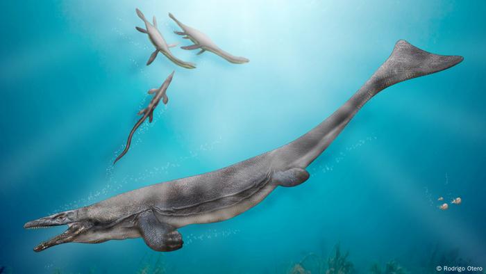 Hallan restos de gigantesco reptil marino en Chile | Ciencia y Ecología | DW Hallan restos de gigantesco reptil marino en Chile | Ciencia y Ecología | DW