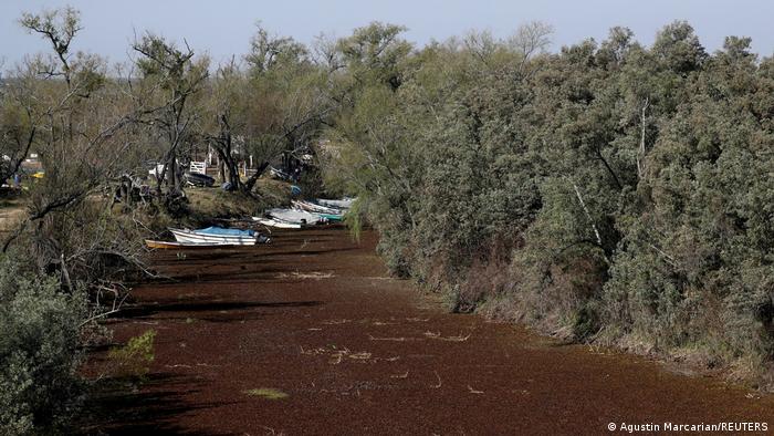 Escasez de agua por sequía en Argentina El río Paraná