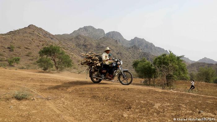 A man carries a bundle of firewood on a motorcycle