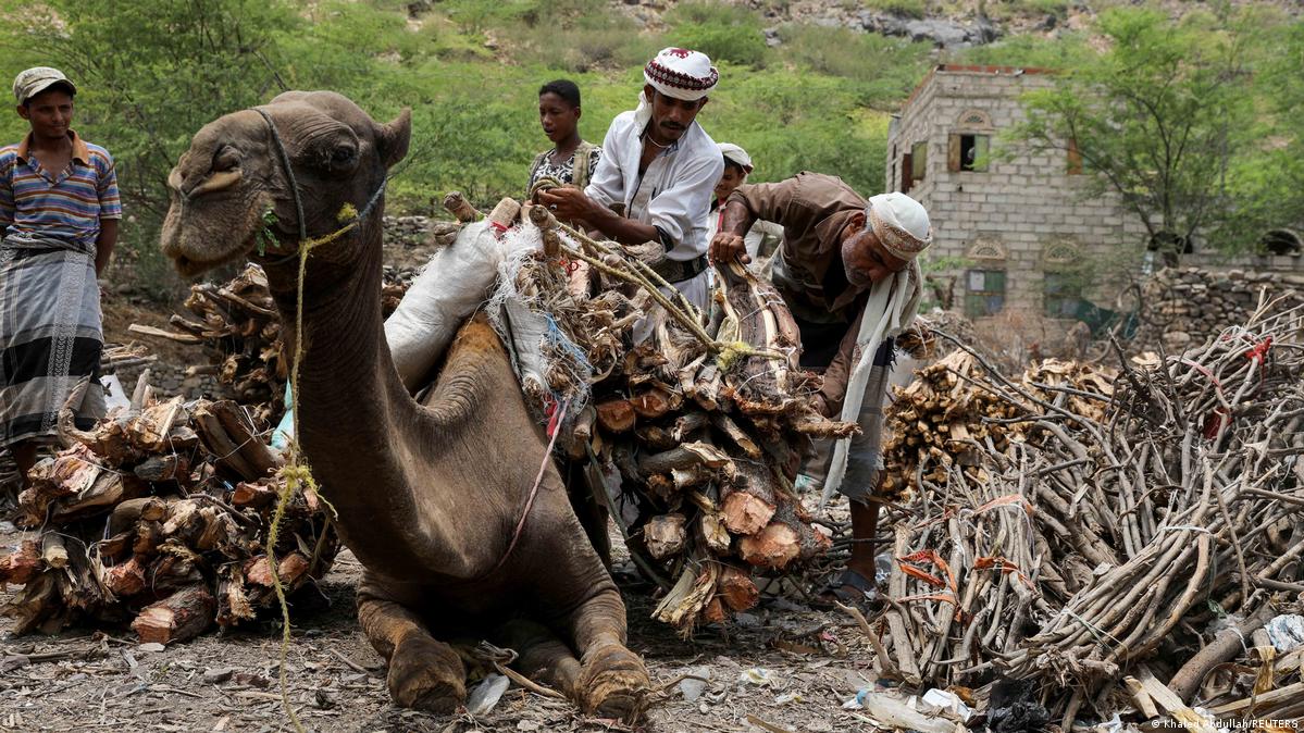 Заготовка древесины в Йемене