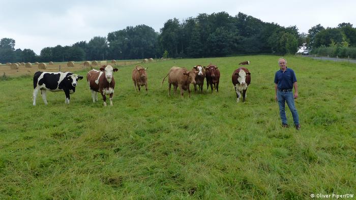 O agricultor orgânico Wilhelm Eckei com suas vacas no pasto