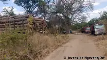 Holzschneiden Beschreibung: Abholzung der Wälder und Umweltverschmutzung in Tete Ort: Mosambik Datum: 23.08.2021 Autor: Jovenaldo Ngovene – DW Correspondent 