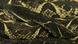 Foto simbólica de una serpiente Bothrops jararacussu Foto simbólica de una serpiente Bothrops jararacussu