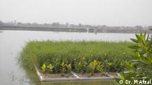 Floating wetlands and the clean water issue in Baluchistan.
FTW in progress Faisalabad Pakistan
(C) Dr. M Afzal
