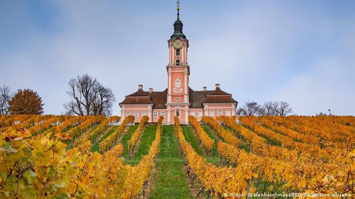 Pilgrim's church behind vineyards near Lake Constance