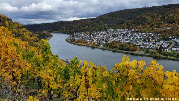 Moselle region vineyards, Rhineland Palatinate