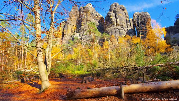 Schrammsteine rock foundation at the Saxon Switzerland national park