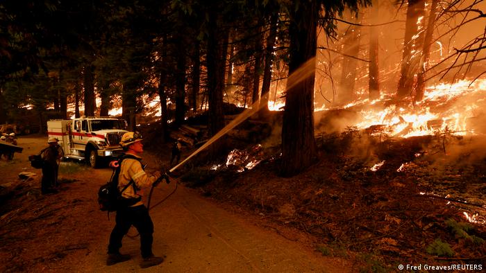 USA | Waldbrand in Strawberry, Californien