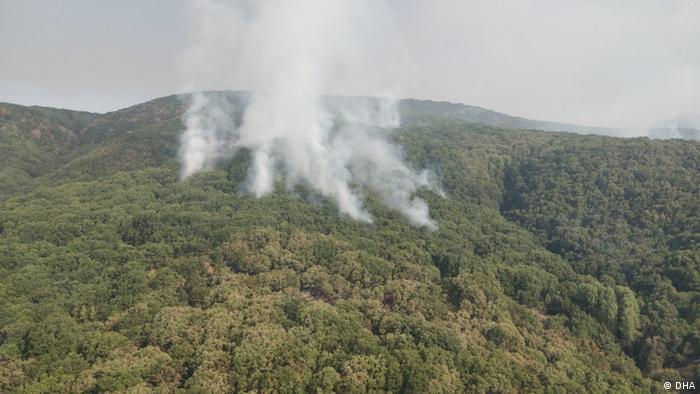 Türkei Klima l Waldbrand in Tunceli