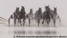 Лошадиные бега по дну моря и под проливным дождем (фото)