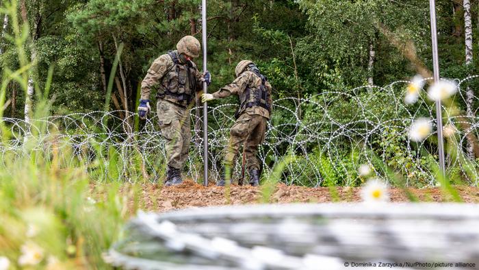 Польские военнослужащие ставят ограждение из колючей проволоки на границе с Беларусью