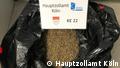 German customs officers seize record 2.3 million cannabis seeds