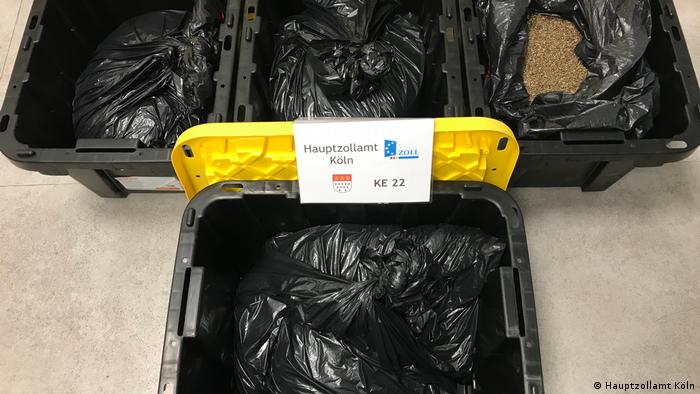 Four containers of cannabis seeds seized by customs officers in Cologne.