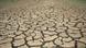 Последствия засухи во Франции Последствия засухи во Франции