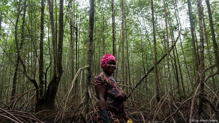 Mujer en un bosque de manglares en Colombia