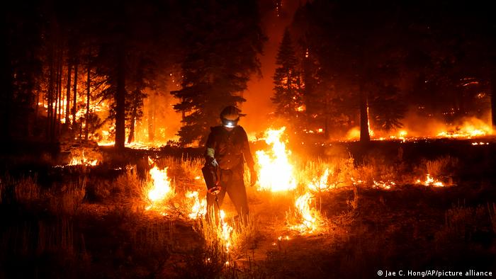 Kalifornien | Waldbrände 