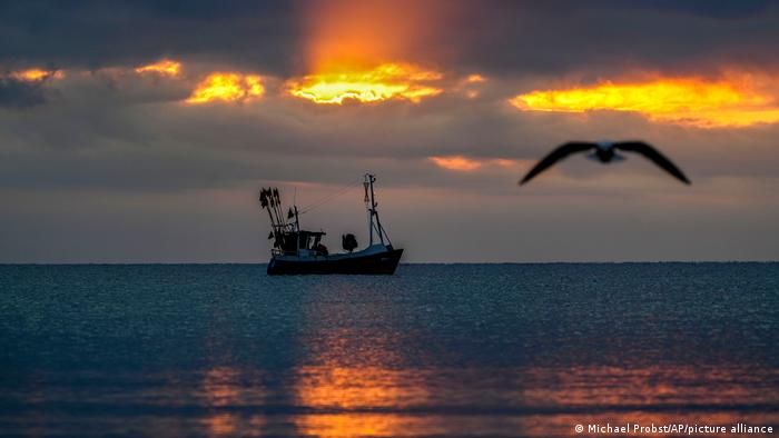 BdTD | Fischerboot auf der Ostsee 