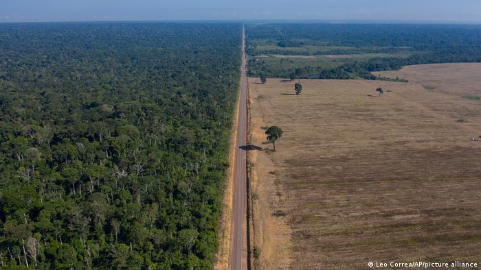 A huge area of rainforest cleared to make space for soy plantations